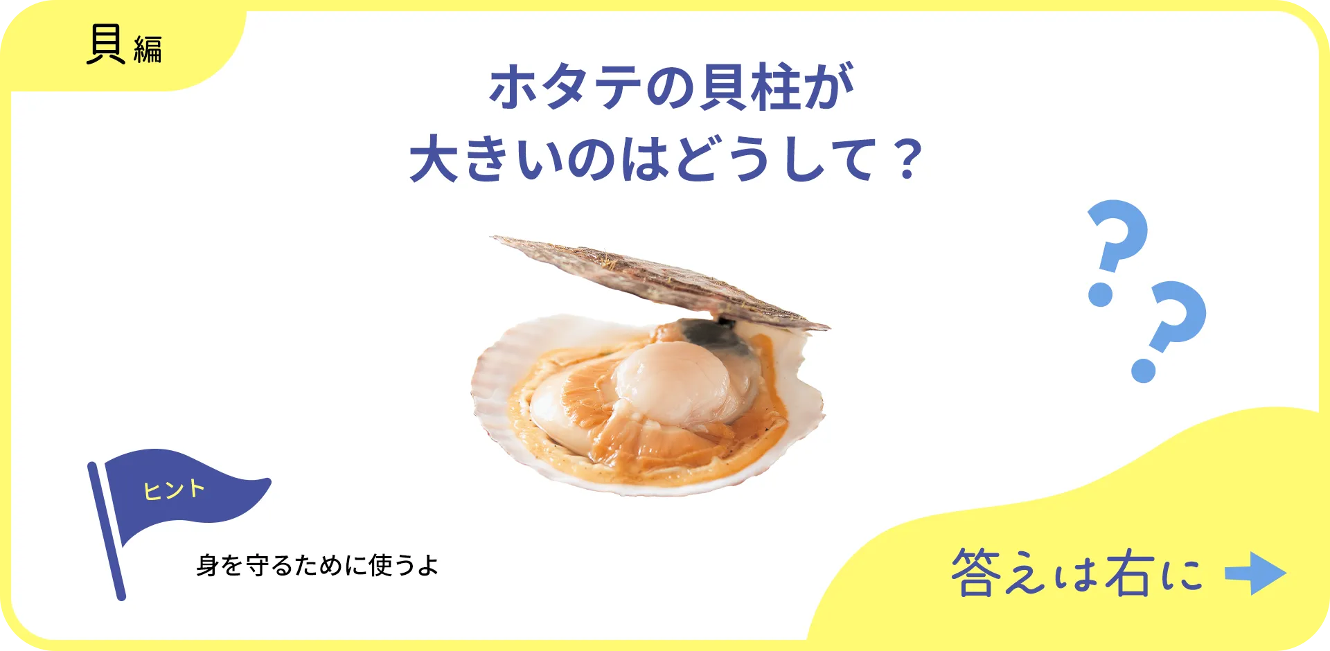 お魚クイズの1つ目の質問