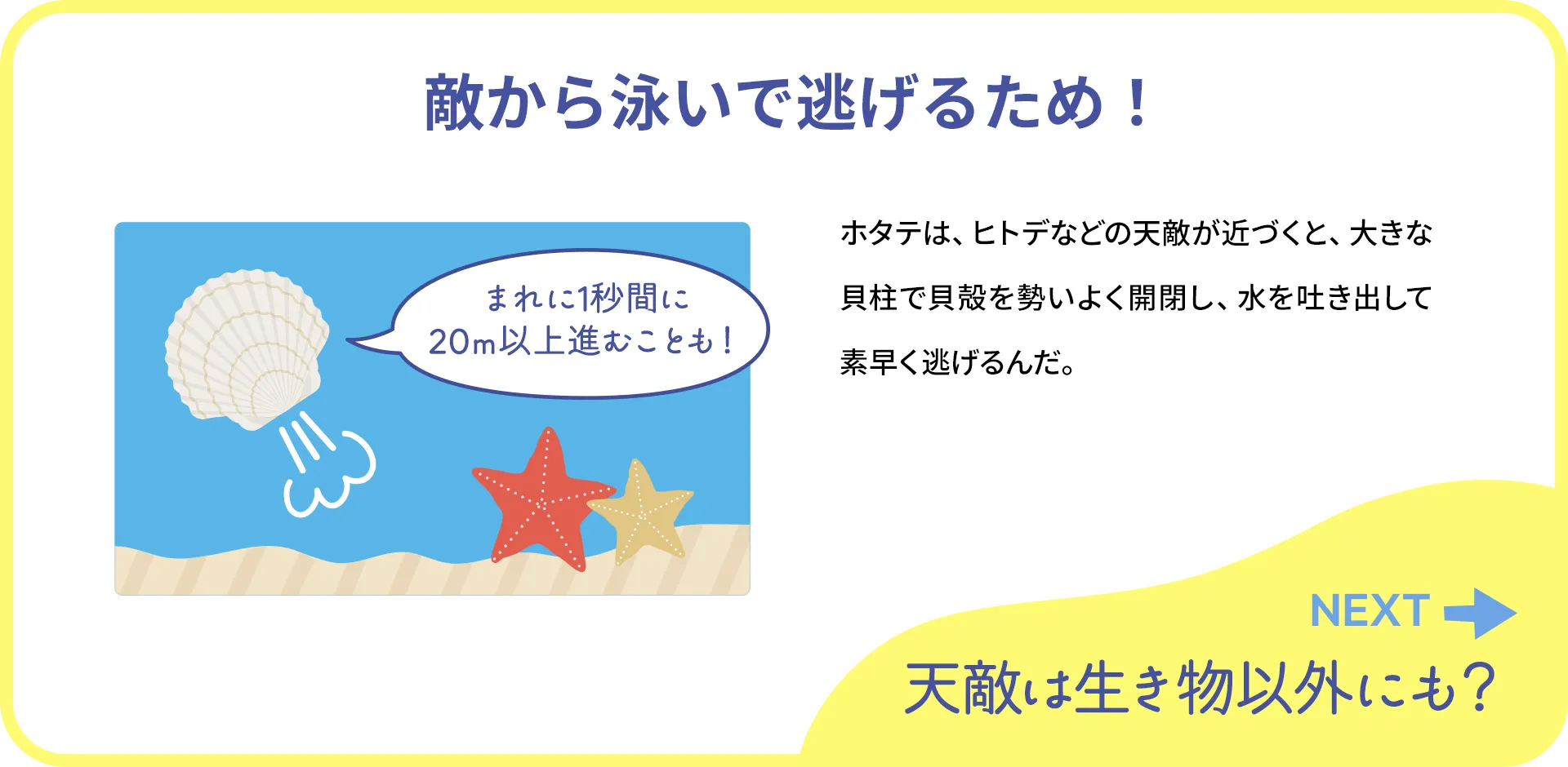 お魚クイズ1つ目の答え