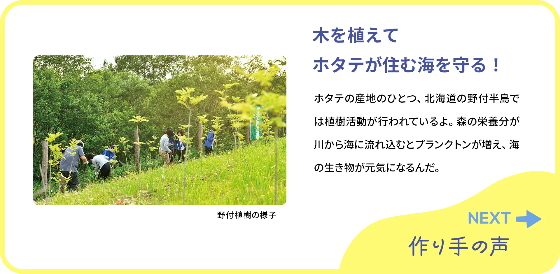 お魚クイズの2つ目の質問