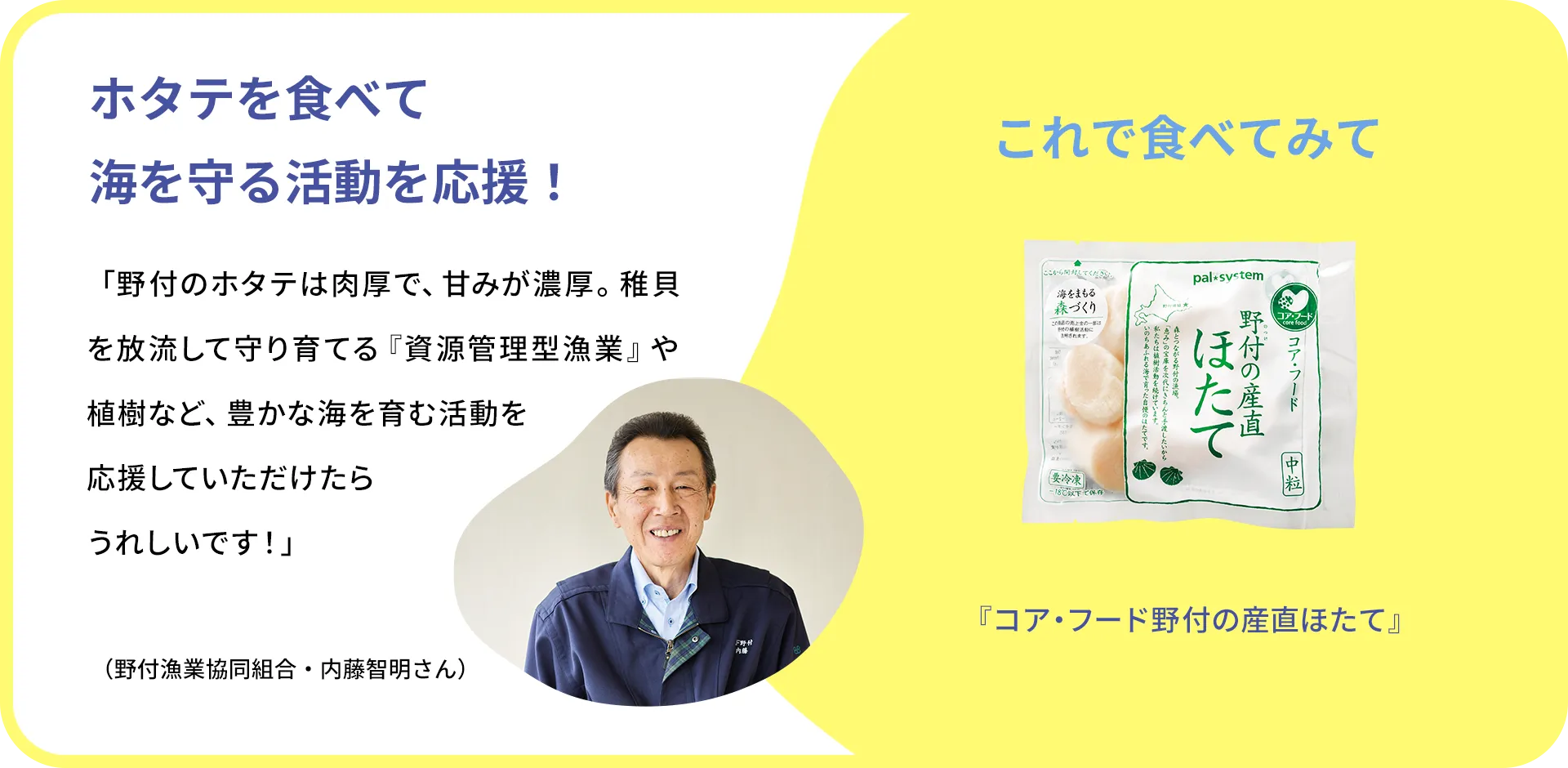 お魚クイズのまとめ