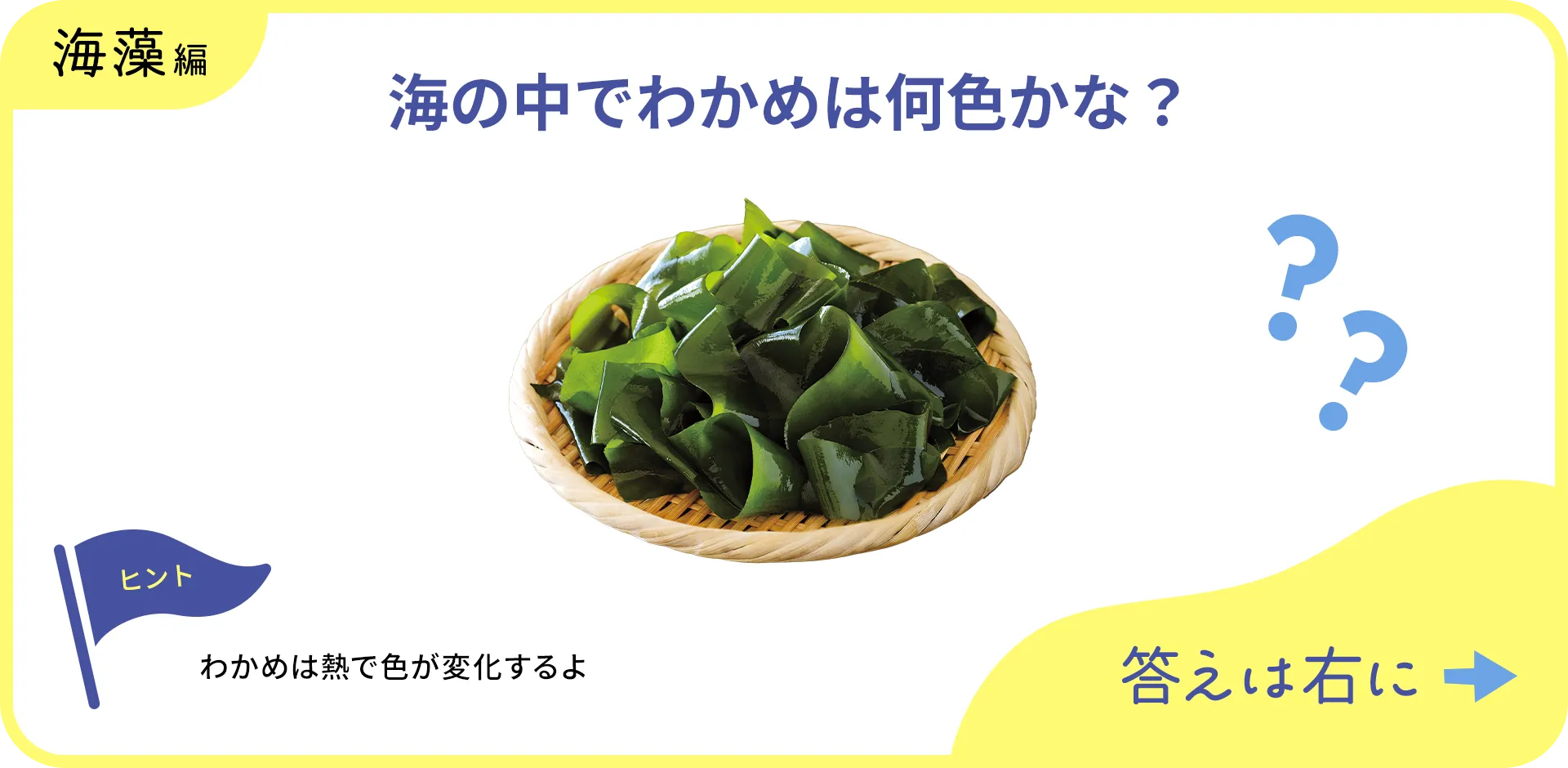 お魚クイズの1つ目の質問