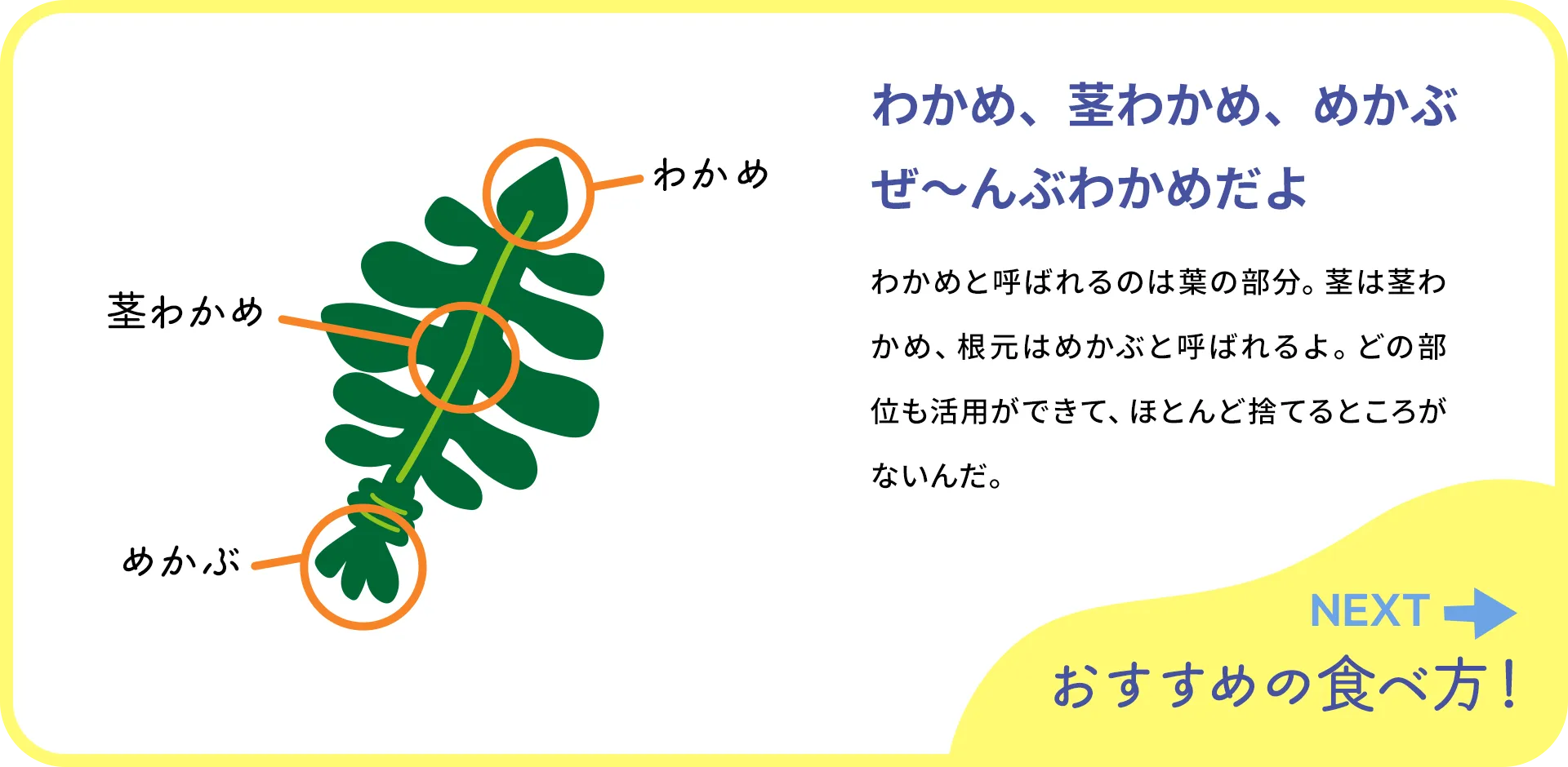 お魚クイズ2つ目の質問