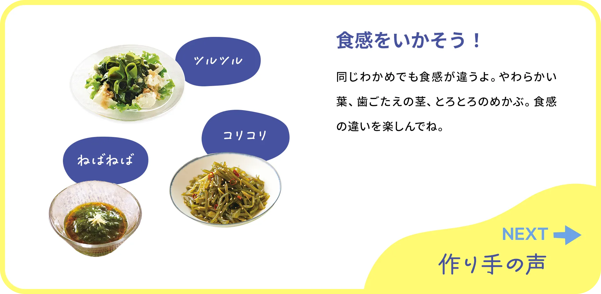 お魚クイズの2つ目の質問