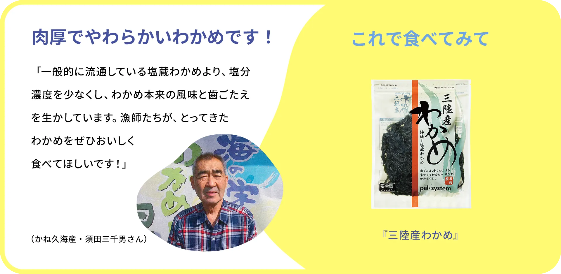 お魚クイズのまとめ