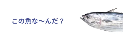 お魚クイズ2問目のサムネイル