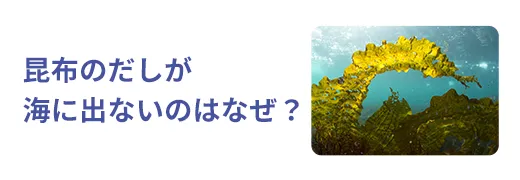 お魚クイズ5問目のサムネイル