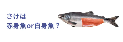 お魚クイズ6問目のサムネイル