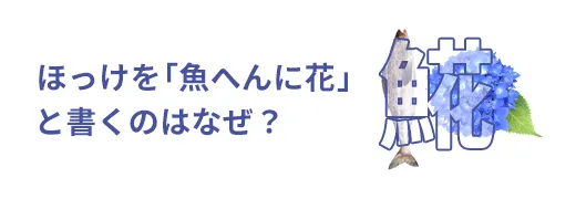 お魚クイズ7問目のサムネイル