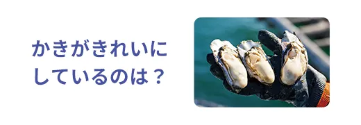 お魚クイズ9問目のサムネイル