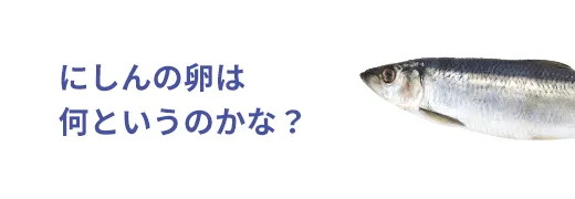 お魚クイズ11問目のサムネイル