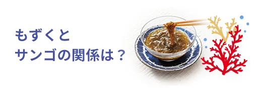 お魚クイズ12問目のサムネイル