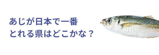 お魚クイズ13問目のサムネイル