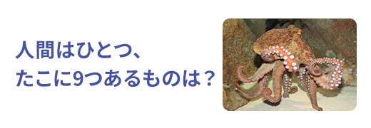 お魚クイズ15問目のサムネイル
