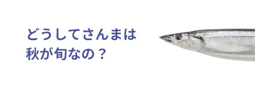 お魚クイズ18問目のサムネイル