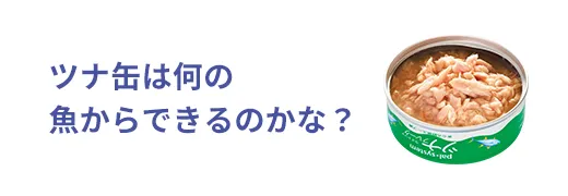 お魚クイズ19問目のサムネイル