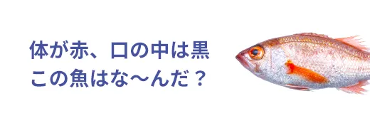 お魚クイズ20問目のサムネイル