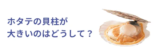 お魚クイズ23問目のサムネイル