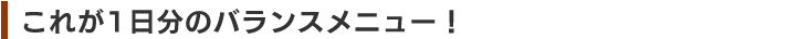 ꂪP̃oXj[I