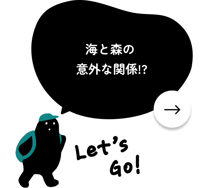海と森の意外な関係!?