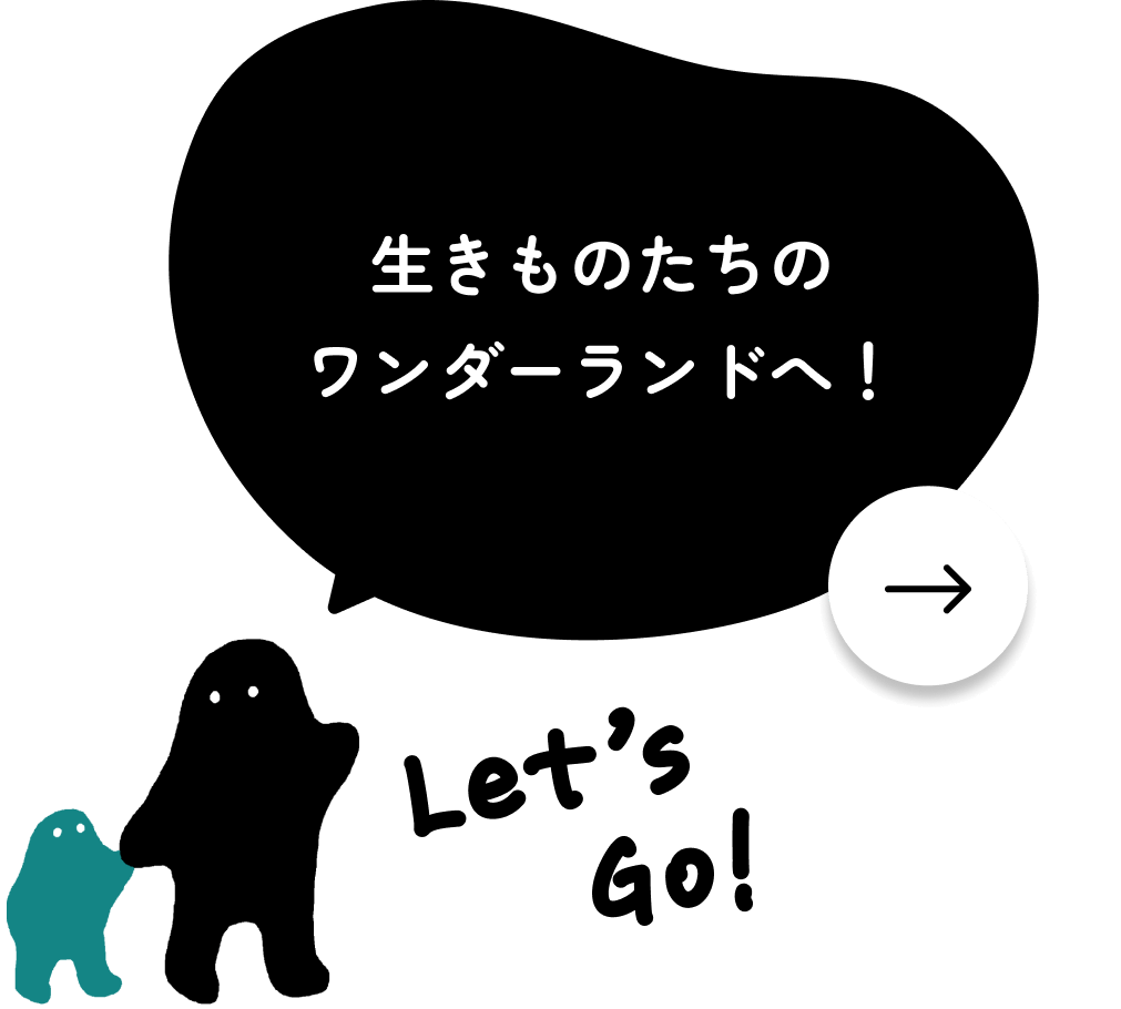 生きものたちのワンダーランドへ！