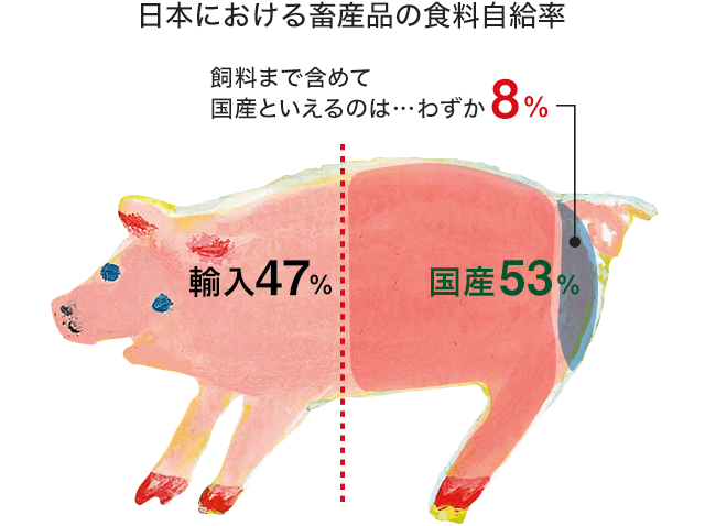 日本における畜産品の食料自給率
