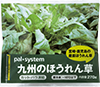 九州のほうれん草（カット・バラ凍結）