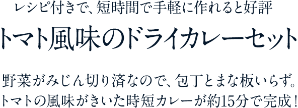 レシピ付きで、短時間で手軽に作れると好評　トマト風味のドライカレーセット　野菜がみじん切り済なので、包丁とまな板いらず。トマトの風味がきいた時短カレーが約15分で完成！