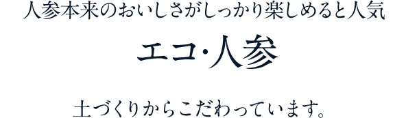 人参本来のおいしさがしっかり楽しめると人気　エコ・人参　土づくりからこだわっています。