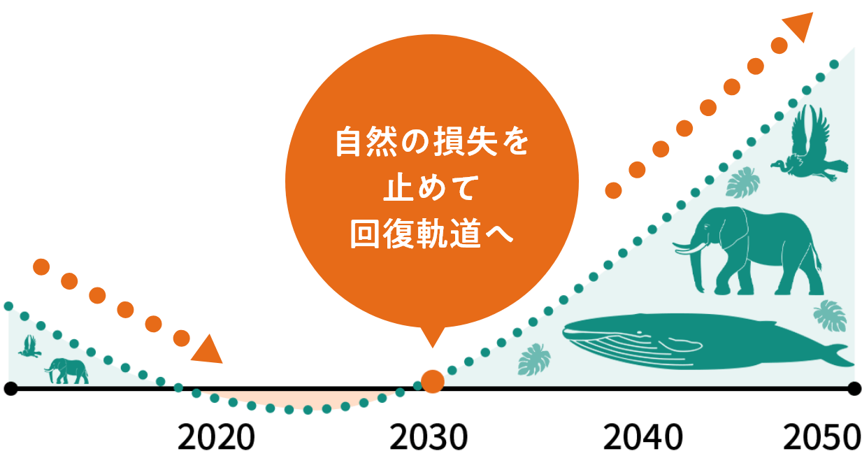 参考=WWFジャパン「生きている地球レポート2022」