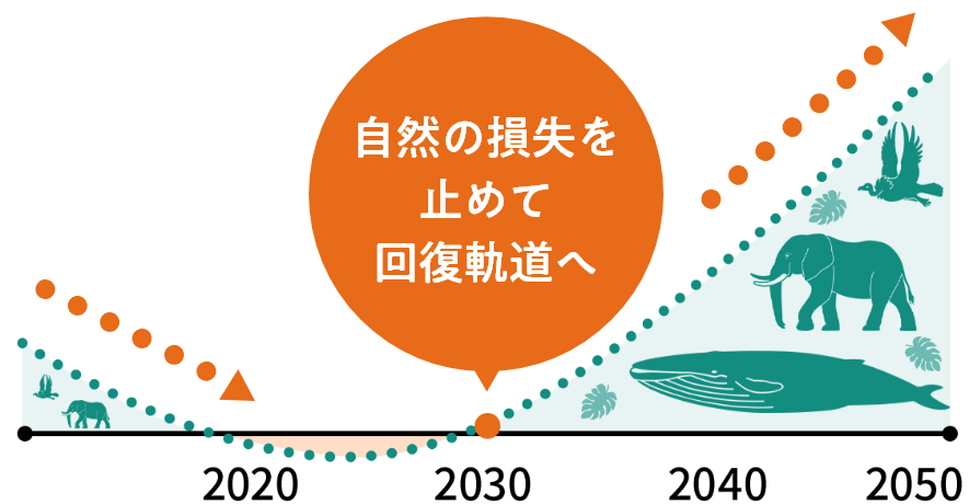 参考=WWFジャパン「生きている地球レポート2022」