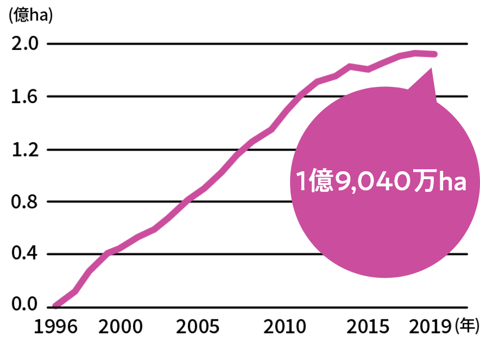 世界の遺伝子組換え作物の栽培面積は、1996年には0haだったのが、2019年には1億9,040万haに増えました。