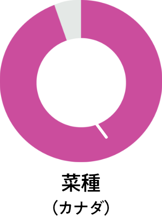 カナダの遺伝子組換え菜種の作付割合は95%です。