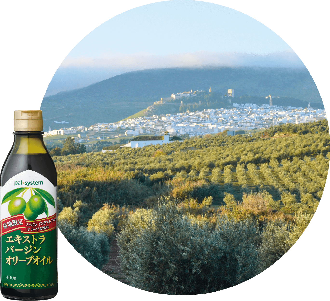 スペイン オレオエステパ社