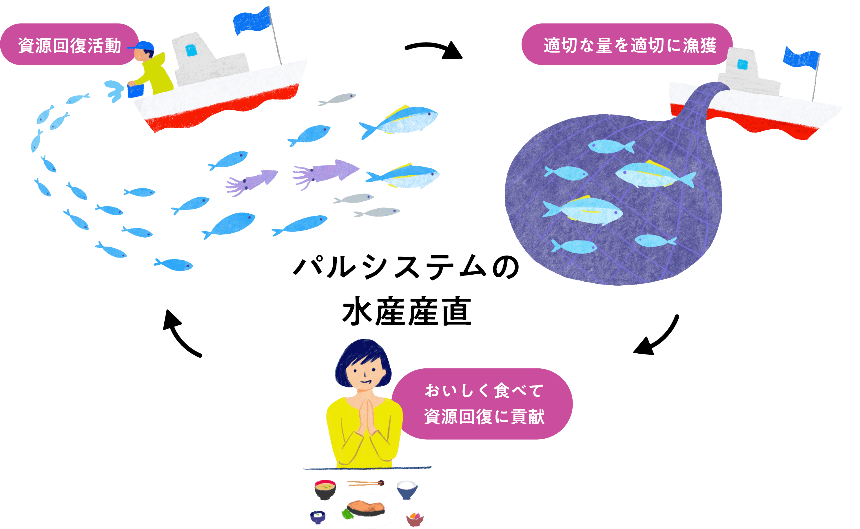 パルシステムの水産産直 資源回復活動 適切な量を適切に漁獲 おいしく食べて資源回復に貢献