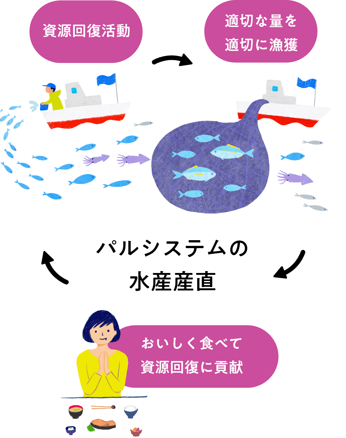 パルシステムの水産産直 資源回復活動 適切な量を適切に漁獲 おいしく食べて資源回復に貢献