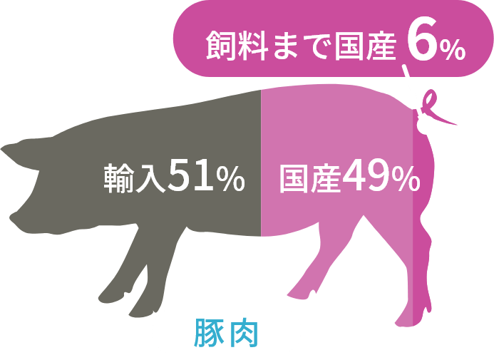 豚肉の輸入比率は51%、国産比率は49%ですが、飼料まで国産といえるのは6%しかありません。