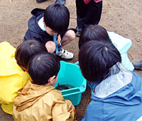 田んぼの生き物観察の様子