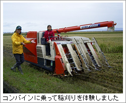 コンバインに乗って稲刈りを体験しました