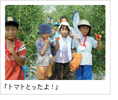 「トマトとったよ！」とトマトを手にする子どもたちの画像