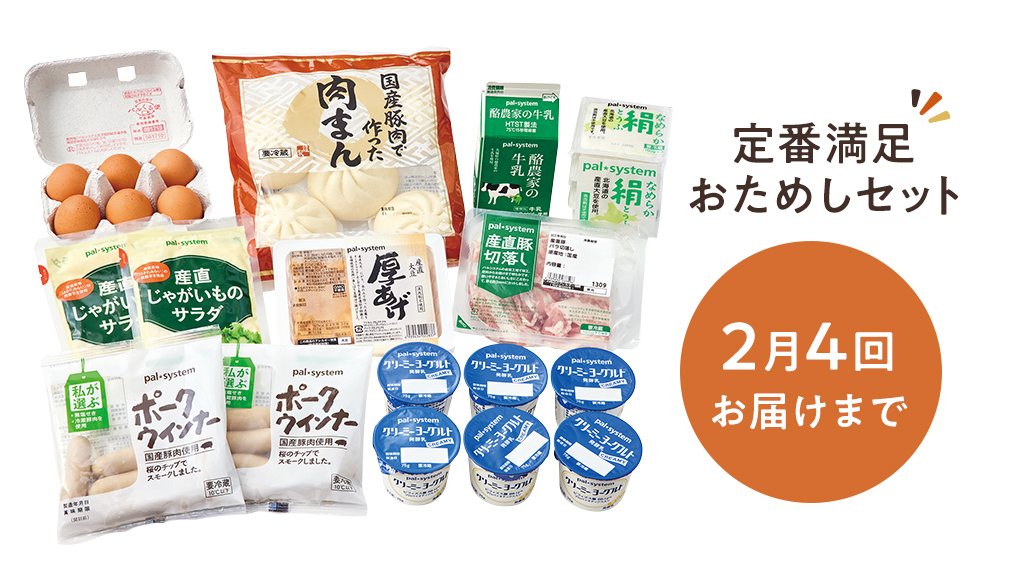 定番満足おためしセット 2月4回お届けまで