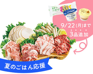夏のごはん応援　9/22（月）まで　3品追加