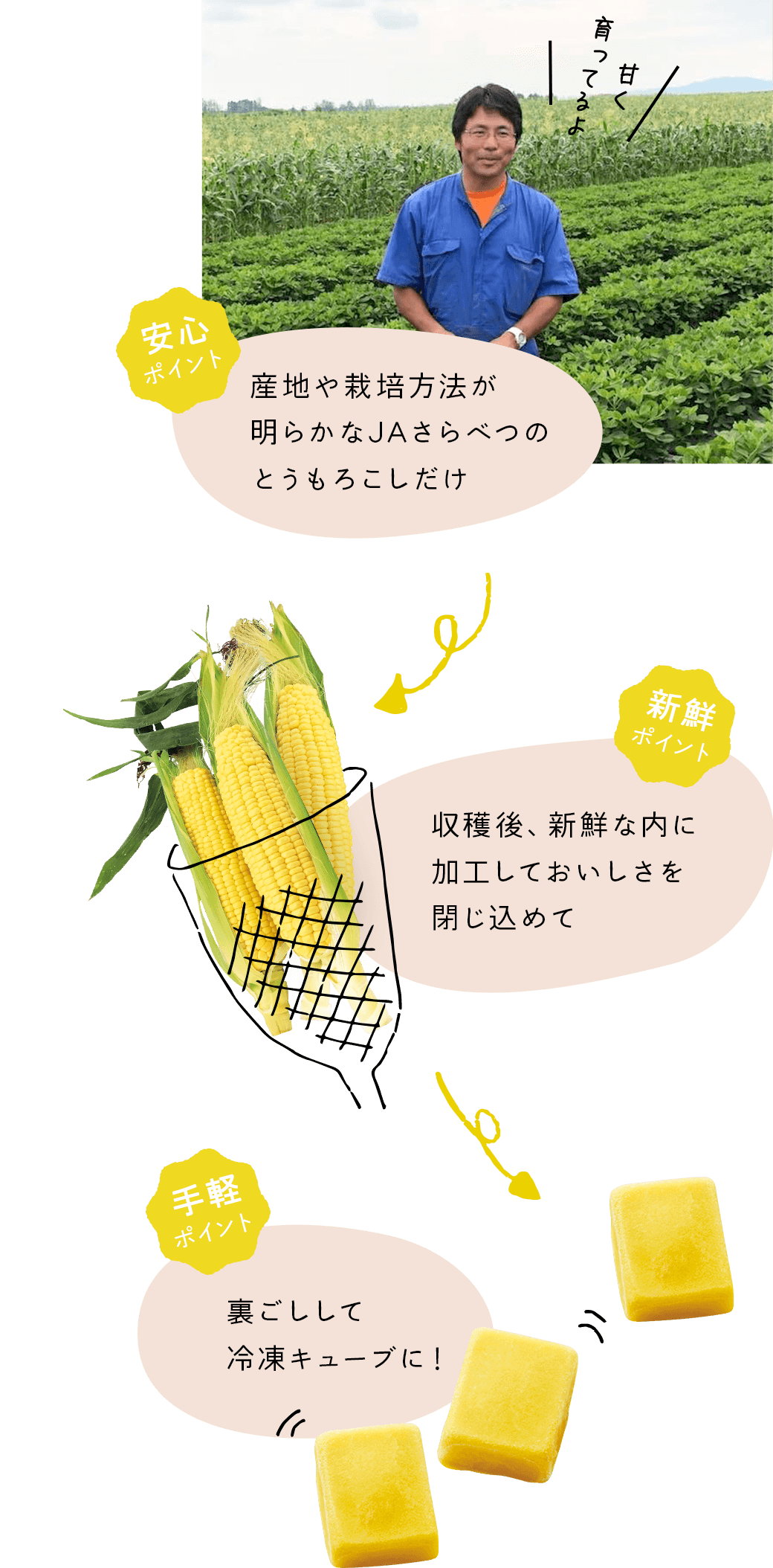 【安心で手軽なポイント】JAさらべつのとうもうろこしだけを収穫後18時間以内に加工しておいしさを閉じ込めます。それを裏ごしして冷凍キューブにしました!