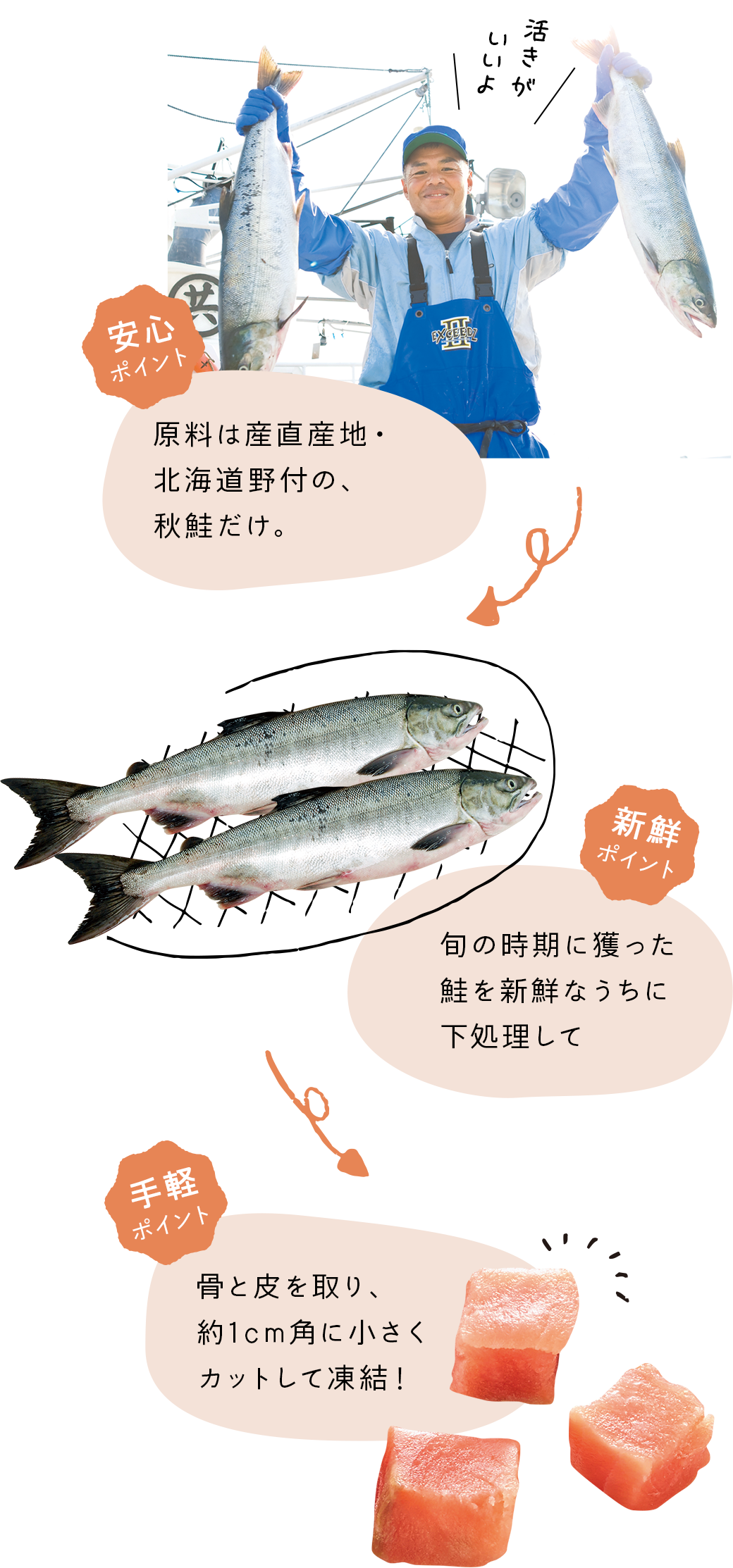 【安心で手軽なポイント】旬の時期に獲った産直産地・北海道野付の秋鮭だけを、骨と皮を取り約1㎝角に小さくカットして凍結しました！