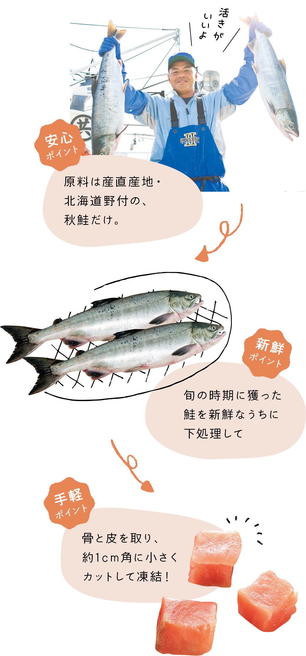 【安心で手軽なポイント】旬の時期に獲った産直産地・北海道野付の秋鮭だけを、骨と皮を取り約1㎝角に小さくカットして凍結しました!